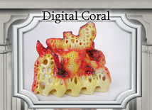Digital Coral